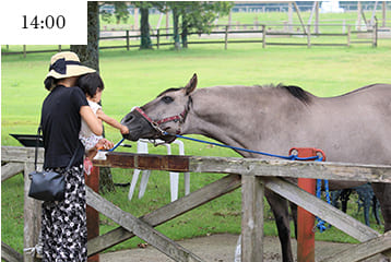 「九重やまなみ牧場で動物との心温まるひとときを」大自然の中で誰もが日常を離れ、家族やお子さんと一緒にのんびりとした時間を過ごせる観光牧場です。動物とのふれあいやパン・バター作り、夏にはブルーベリーの摘みとり体験も!